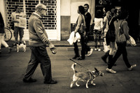 Man with a dog